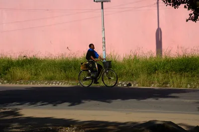 DSC_8024 (Large).JPG